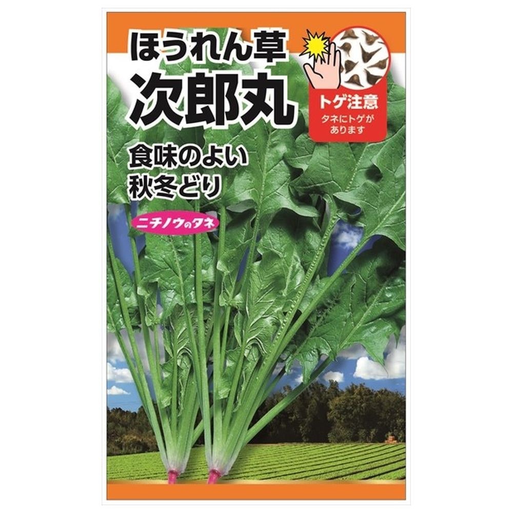 ホウレンソウ 次郎丸ほうれん草 