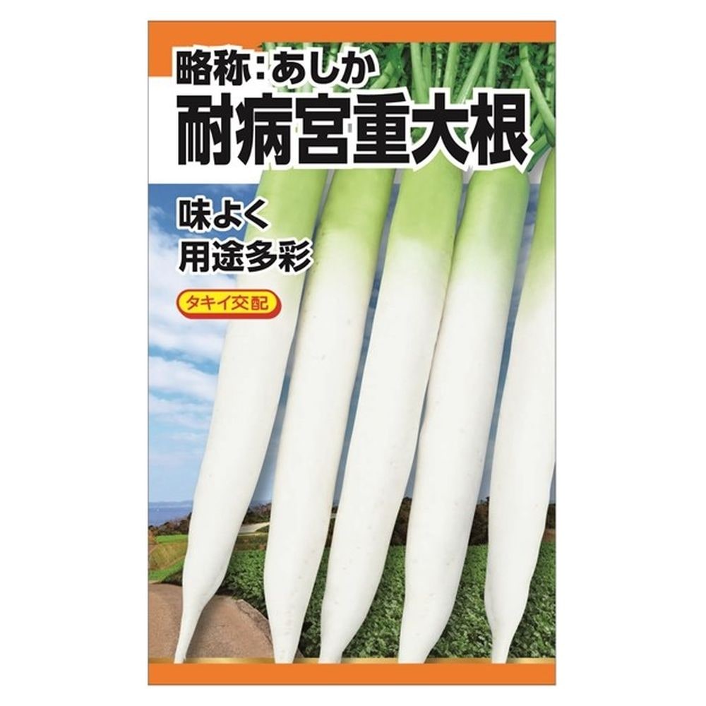 大根 耐病宮重大根 