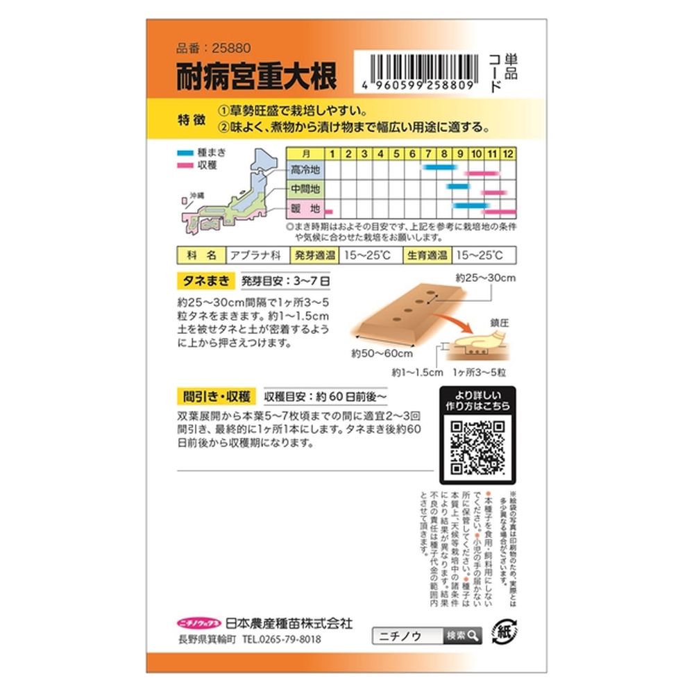 大根 耐病宮重大根 1