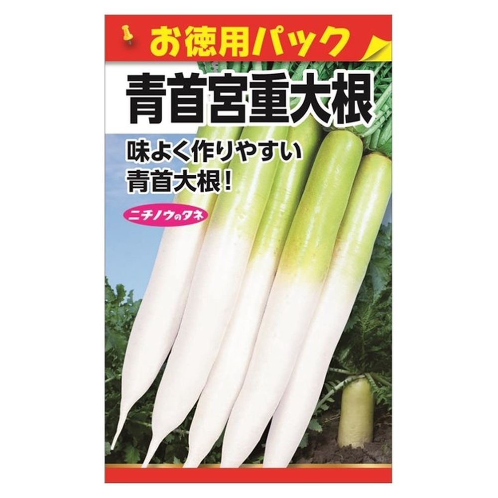 大根 【青首宮重大根(お徳用パック)】 種・小袋 （30ml） 固定種
