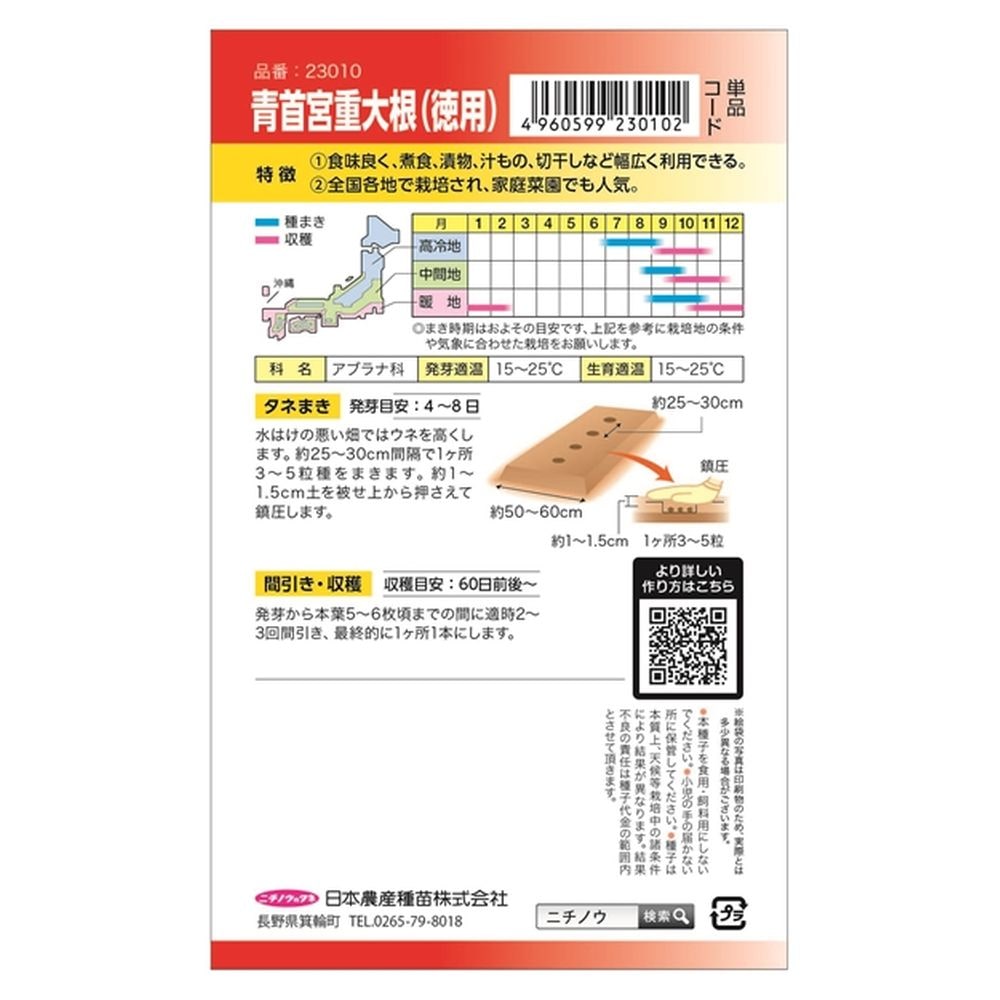 大根 青首宮重大根 2