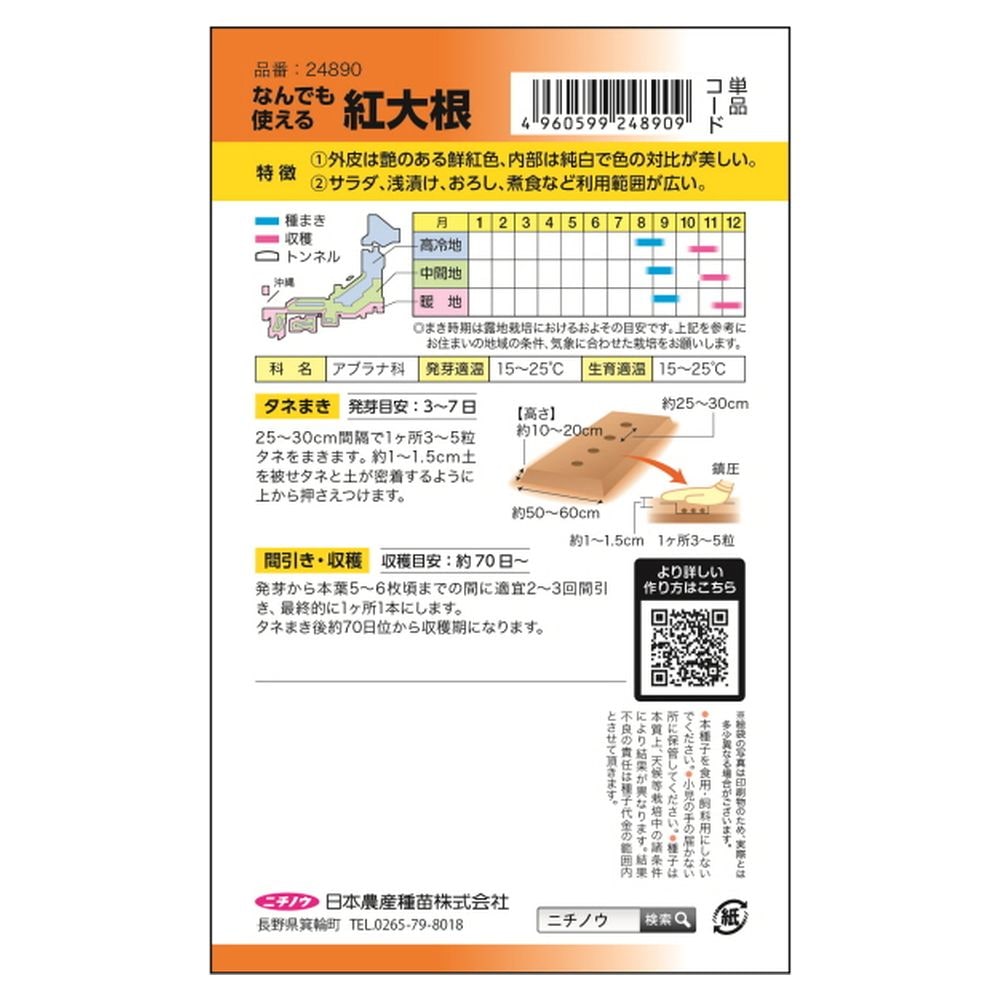 大根 なんでも使える紅大根(赤とんぼ) 2