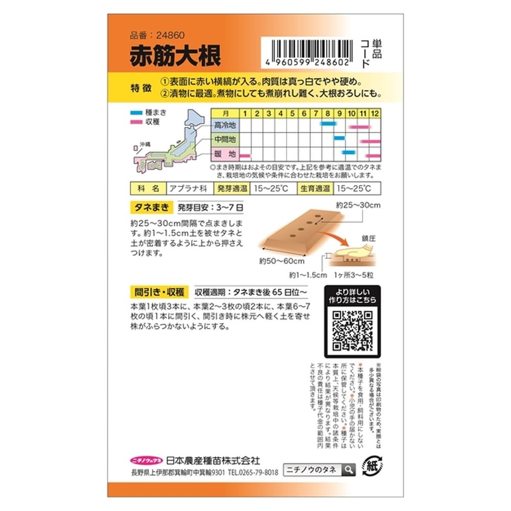 大根 赤筋大根 2