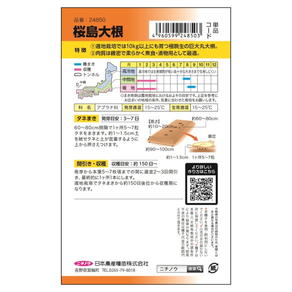 大根 桜島大根 2