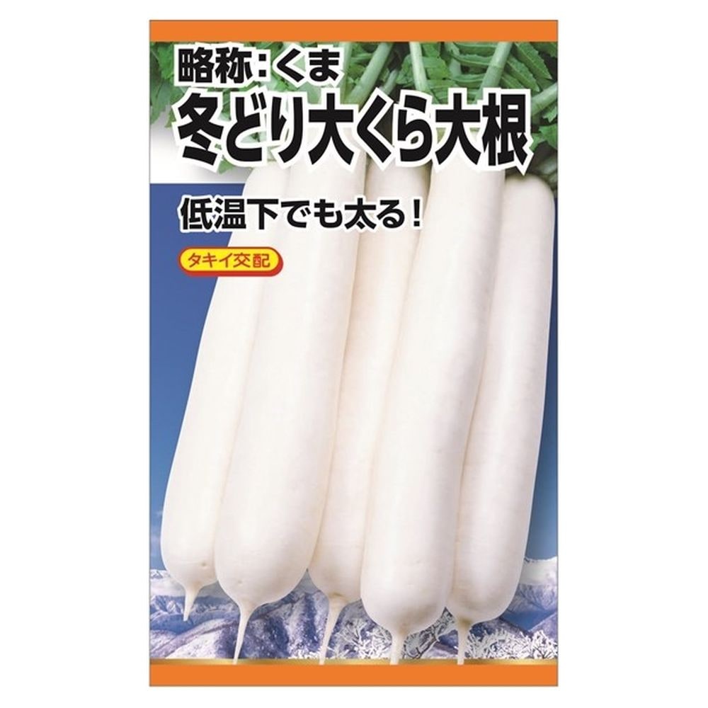 大根 冬どり大蔵大根の通販 苗木部 By 花ひろばオンライン