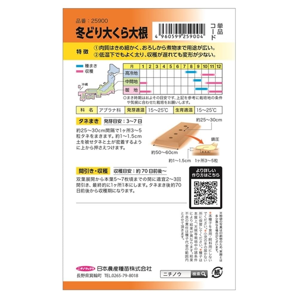 大根 冬どり大蔵大根 1