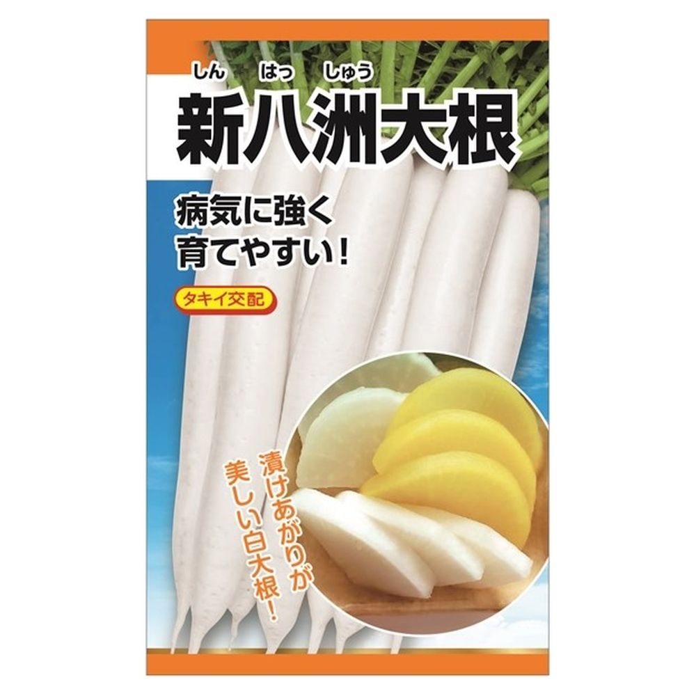 大根 新八洲大根の通販 苗木部 By 花ひろばオンライン