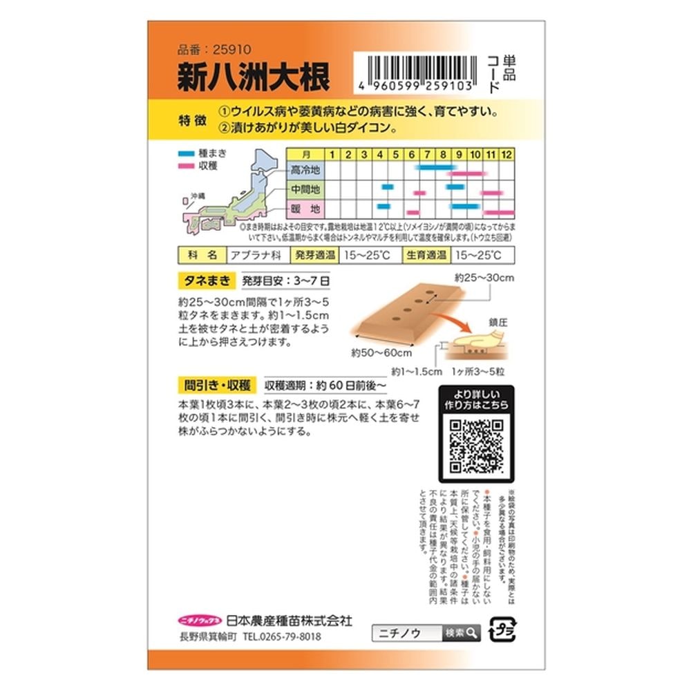 大根 新八洲大根 2