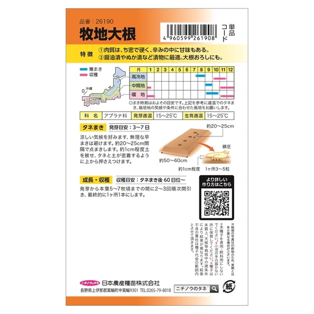 大根 牧地大根 2