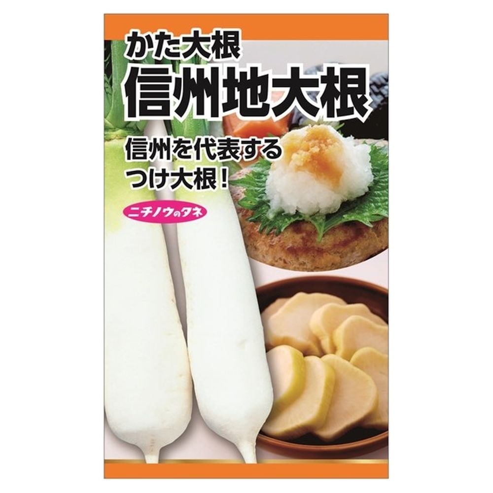 大根 信州地大根 1