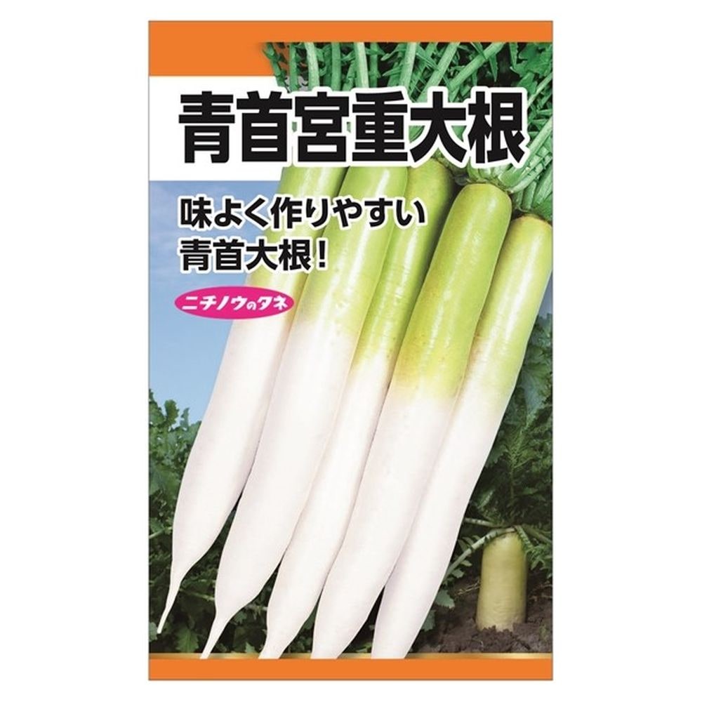 大根 青首宮重大根 