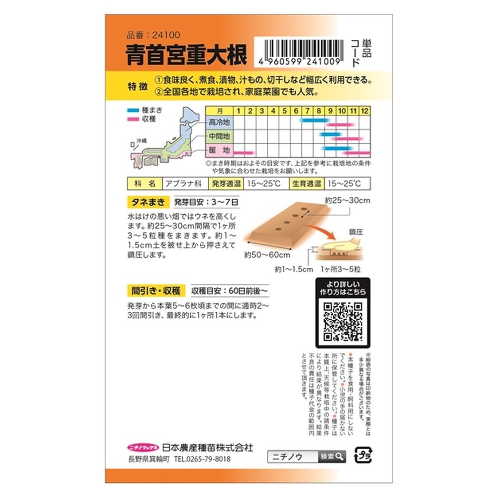 大根 青首宮重大根 1