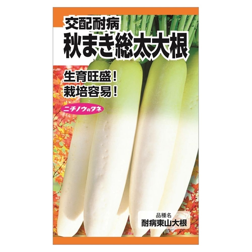 大根 交配耐病秋まき総太大根 