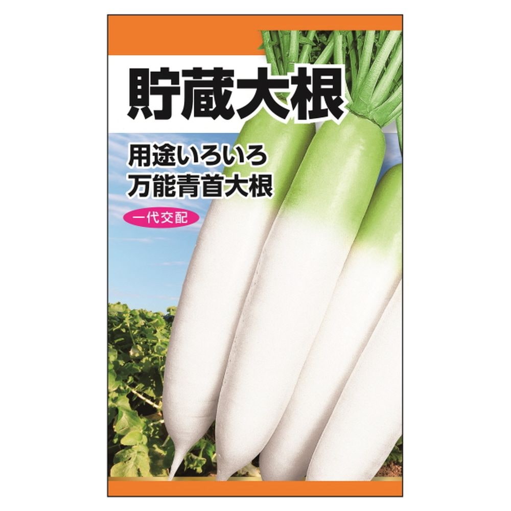 大根 F1貯蔵大根の通販 苗木部 By 花ひろばオンライン