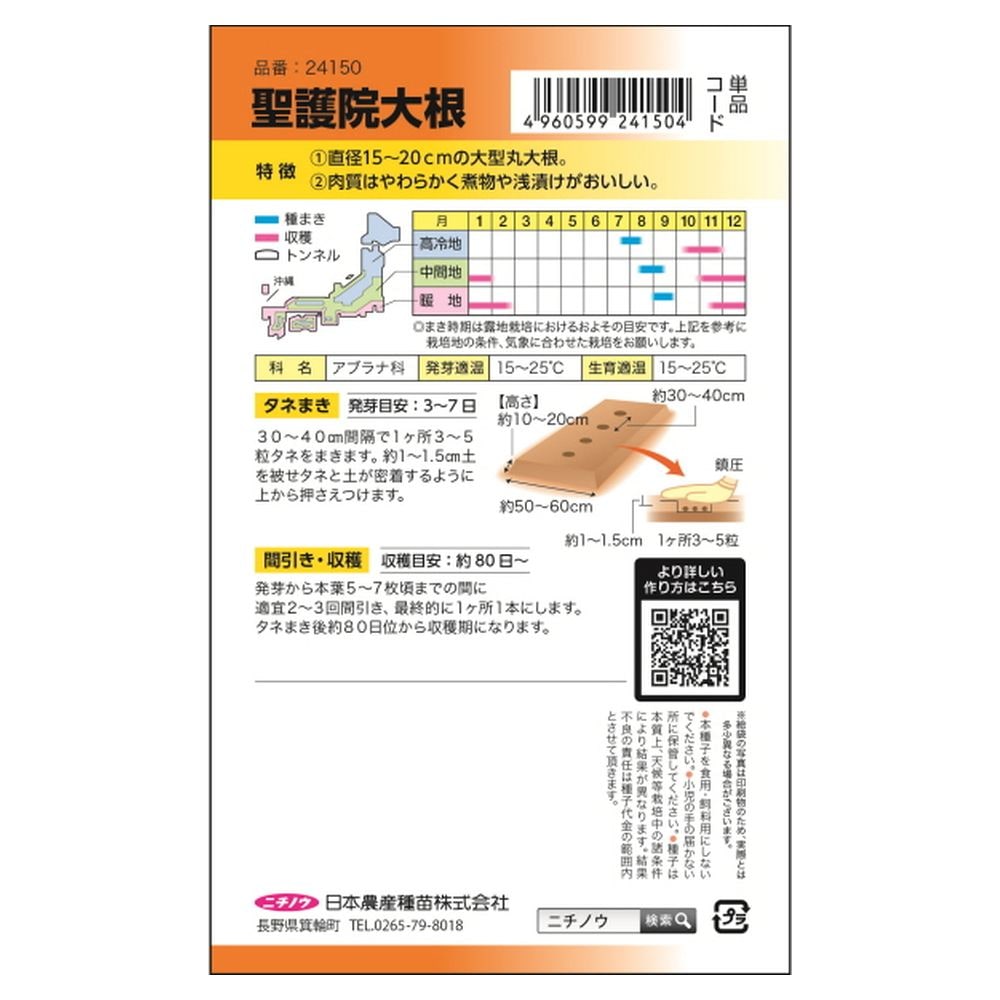 大根 聖護院大根 2