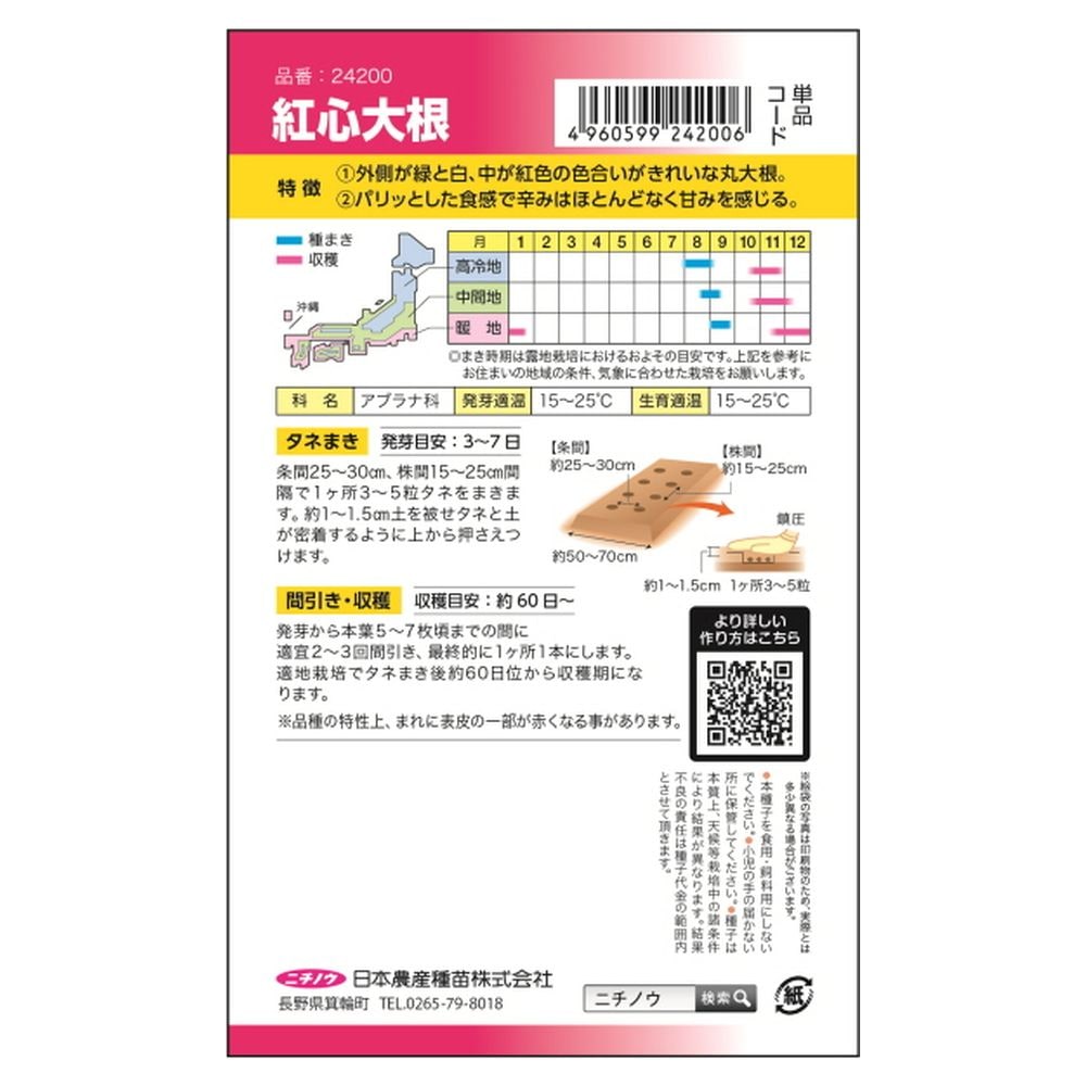 大根 紅心大根 2