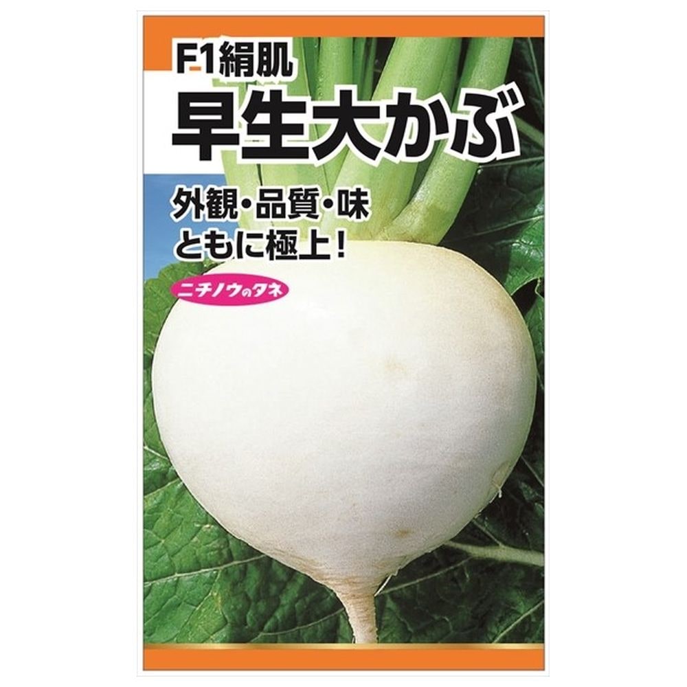 かぶ F1絹肌早生大かぶ 