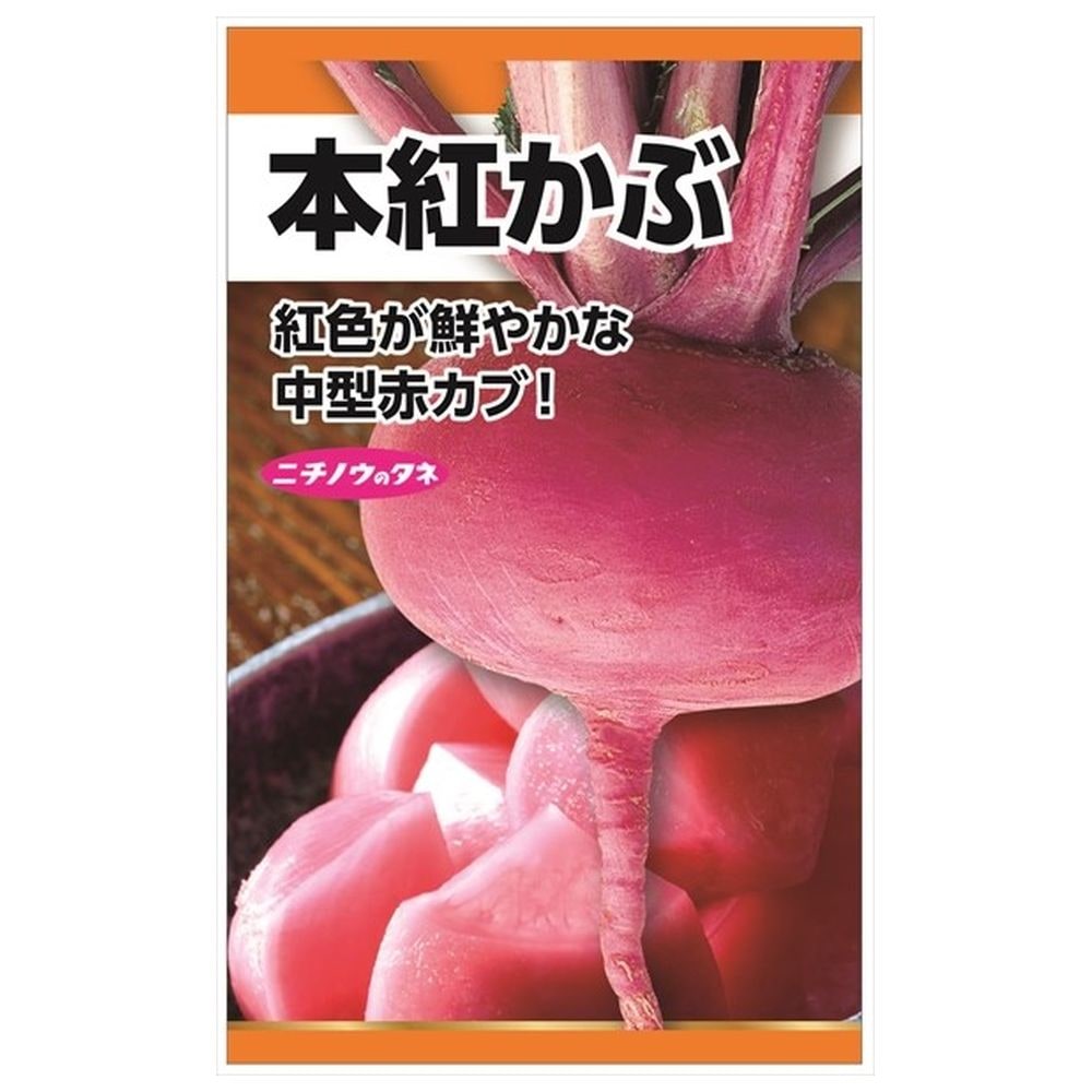 かぶ 本紅かぶ 