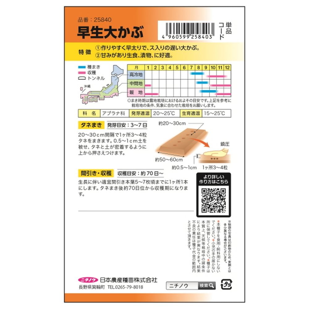 かぶ ﾀｷｲ交配 早生大かぶ 1