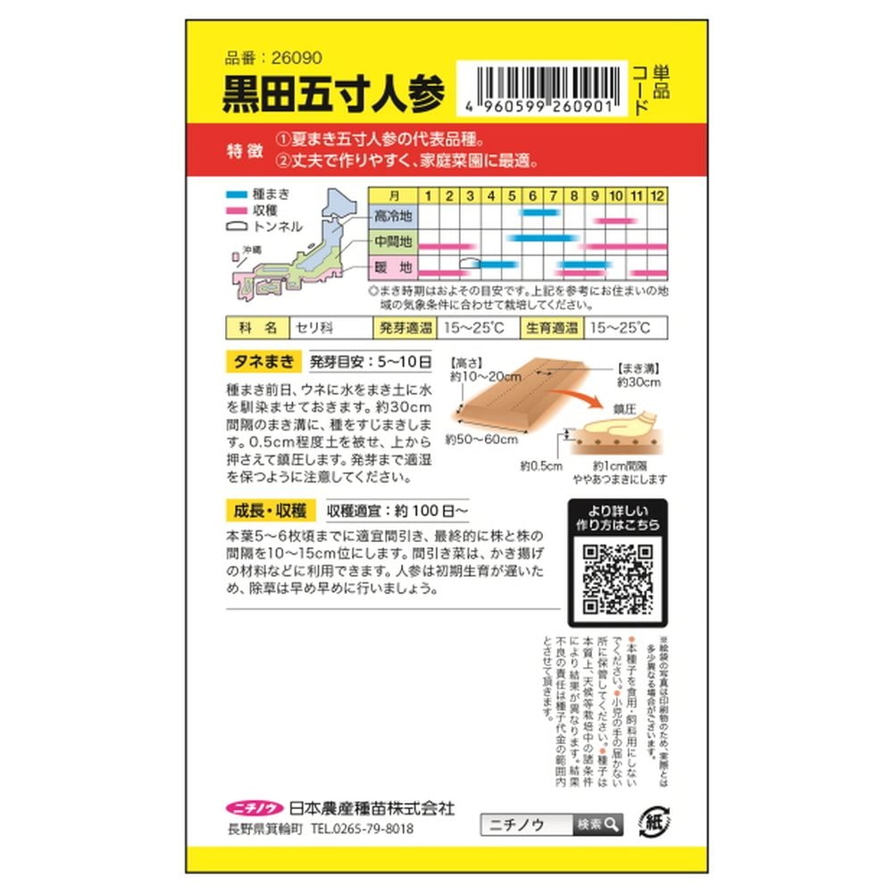 にんじん 交配黒田五寸にんじん 1