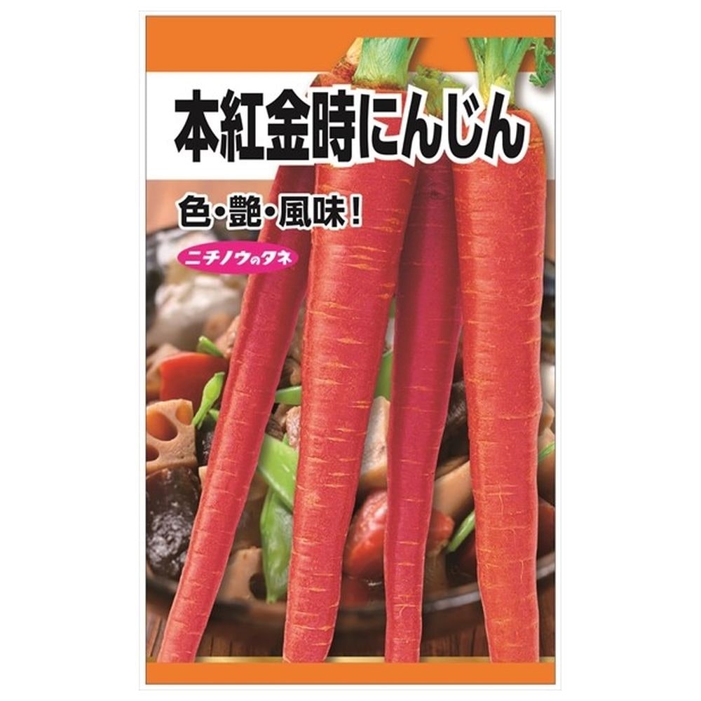 にんじん 本紅金時にんじん 