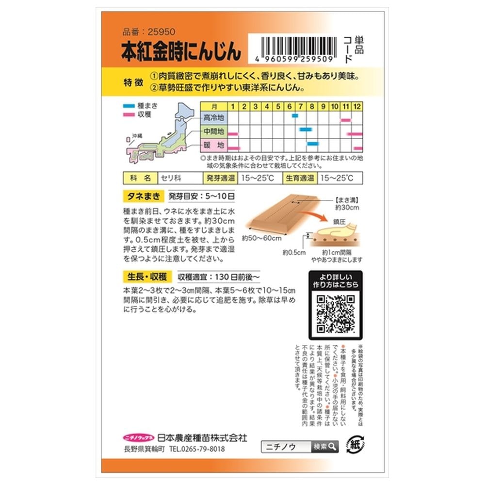 にんじん 本紅金時にんじん 1