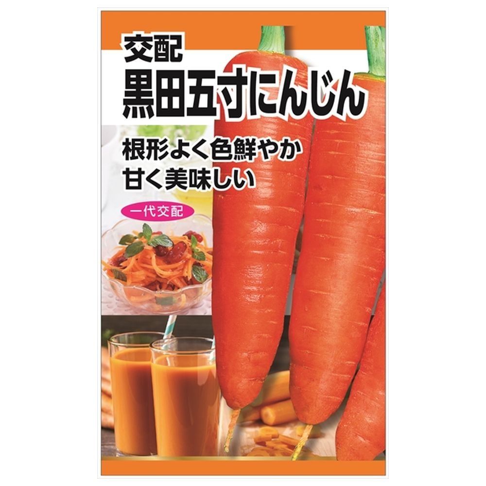 にんじん 交配黒田五寸にんじん 