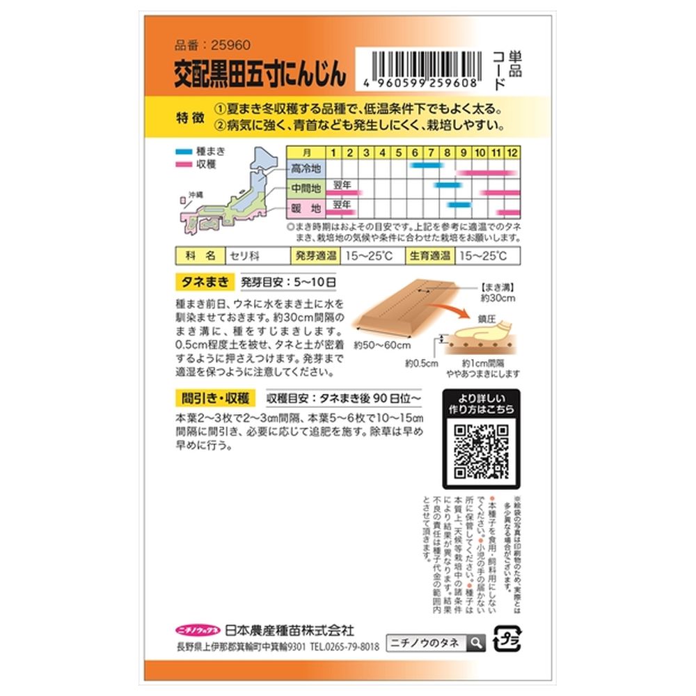 にんじん 交配黒田五寸にんじん 1