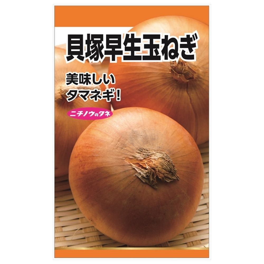 たまねぎ 貝塚早生玉ねぎ 