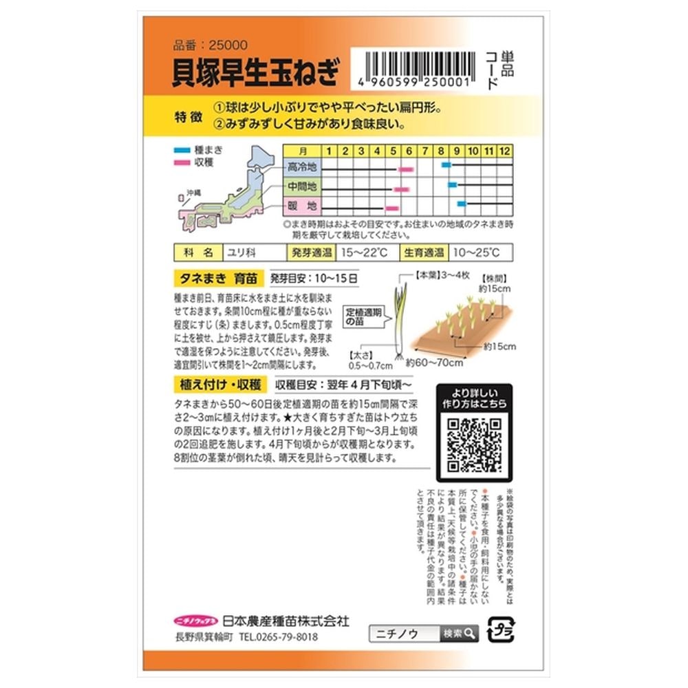 たまねぎ 貝塚早生玉ねぎ 1