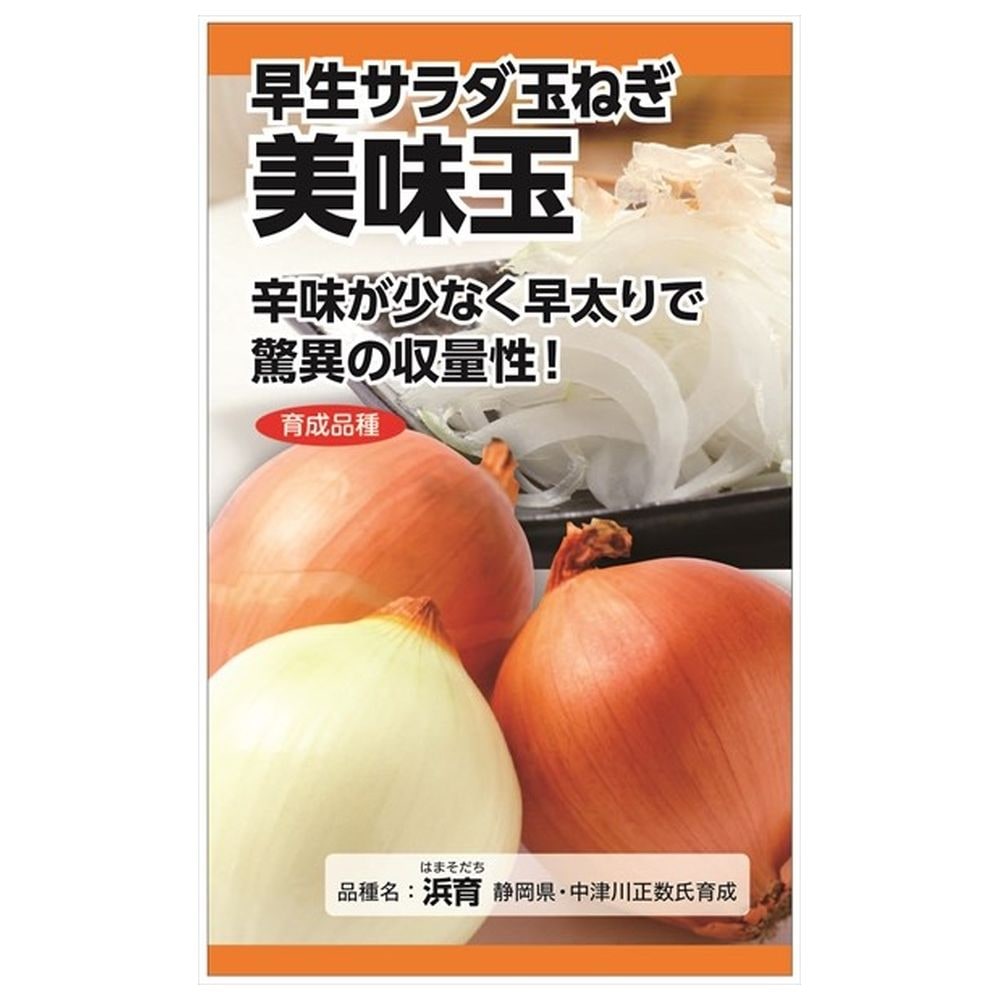 たまねぎ 美味玉 