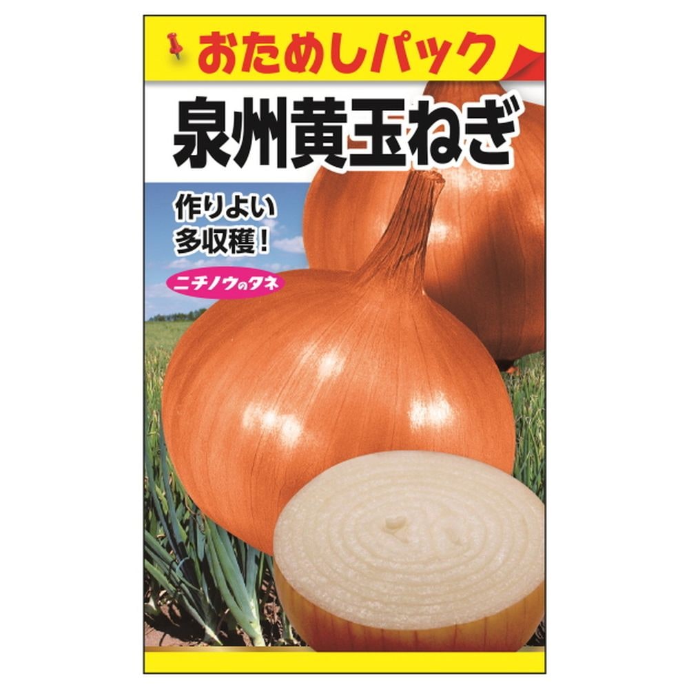 たまねぎ 泉州黄玉ねぎ 