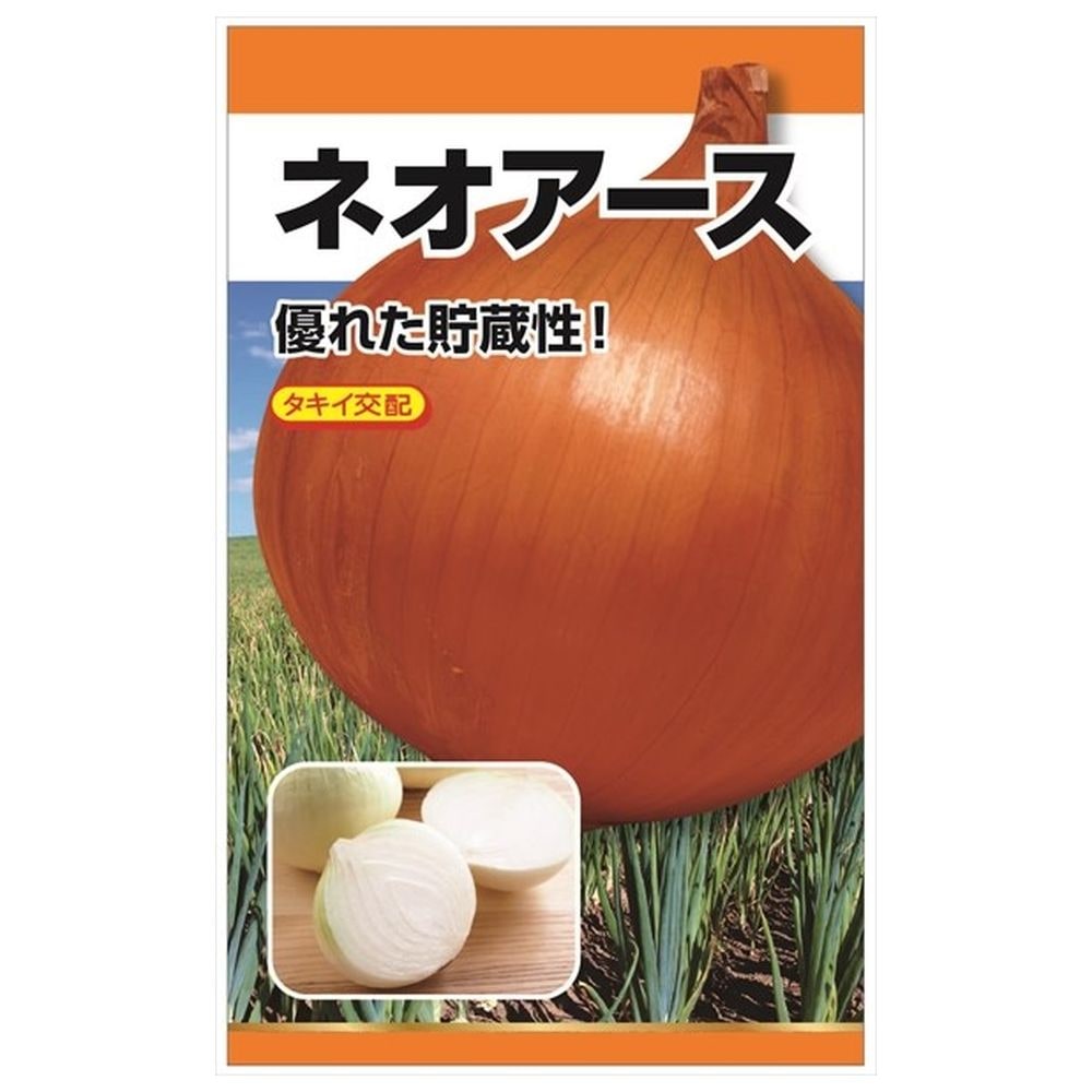 たまねぎ ネオアース 苗 販売 苗木部 By 花ひろばオンライン