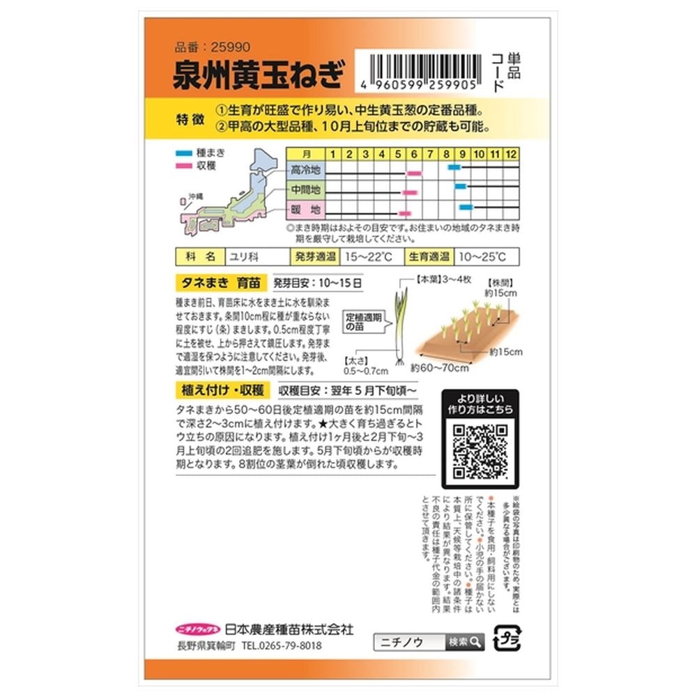 たまねぎ 泉州黄玉ねぎ 1