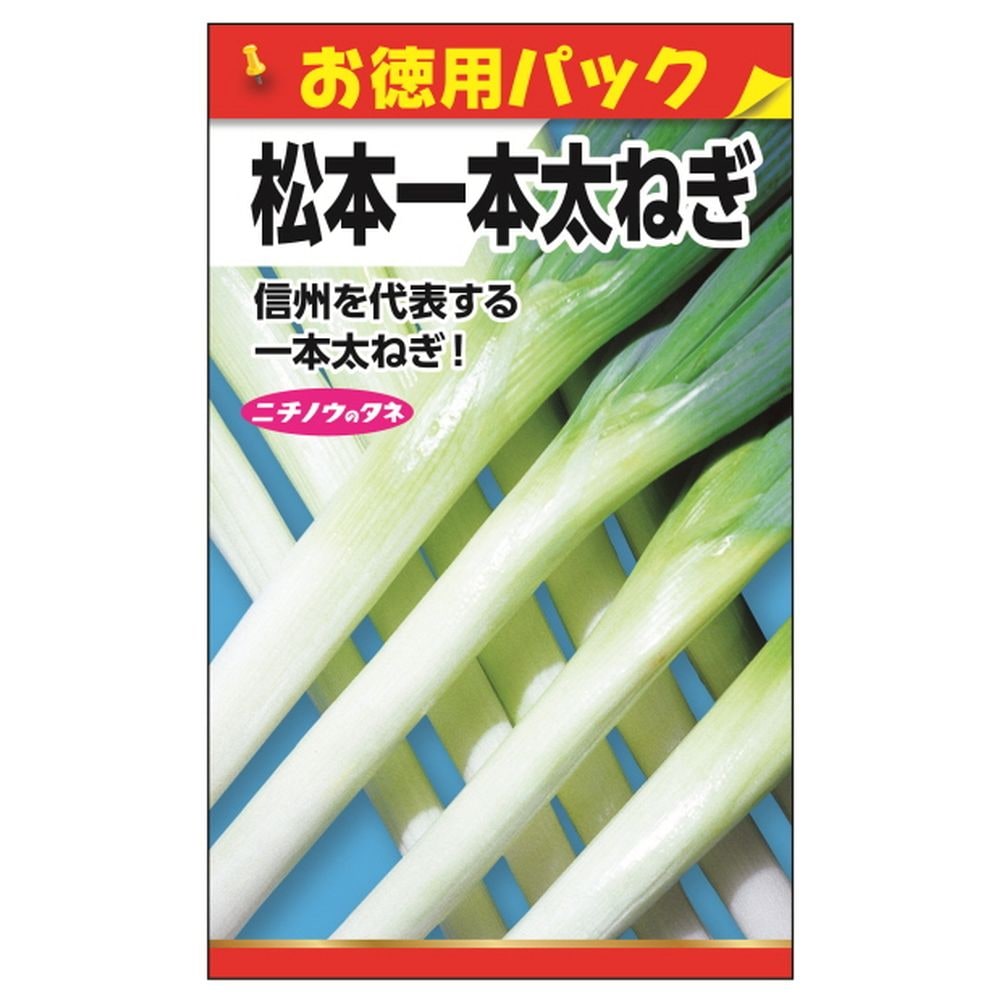ねぎ 松本一本ねぎ 