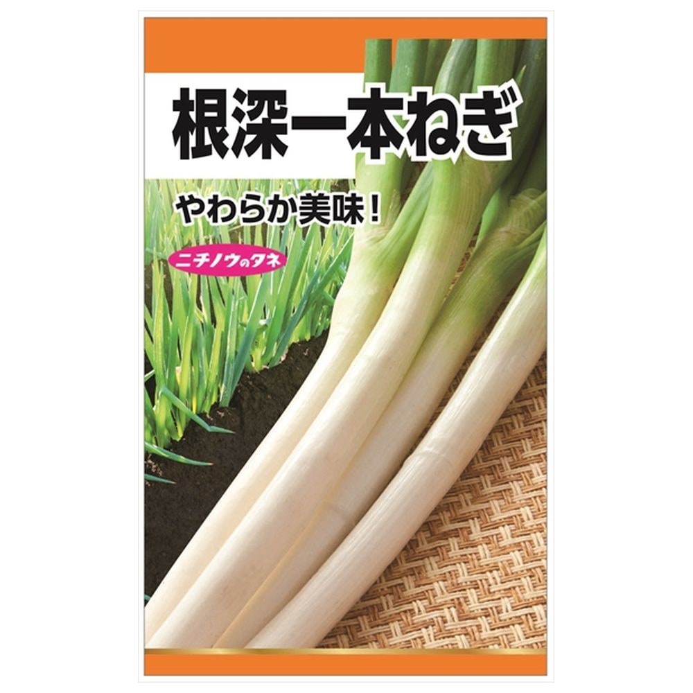 ねぎ 根深一本ねぎ 