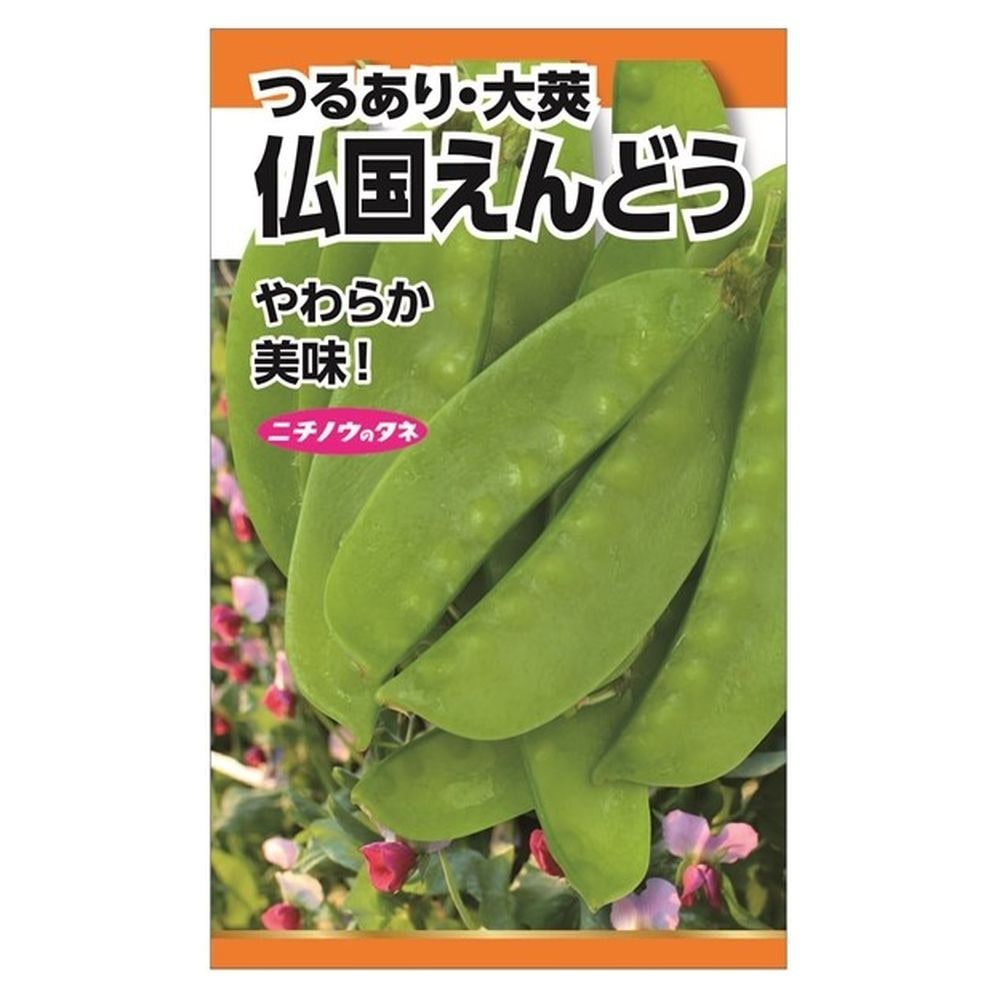 えんどう 仏国えんどう(つるあり・大莢)の通販 苗木部 By 花ひろば