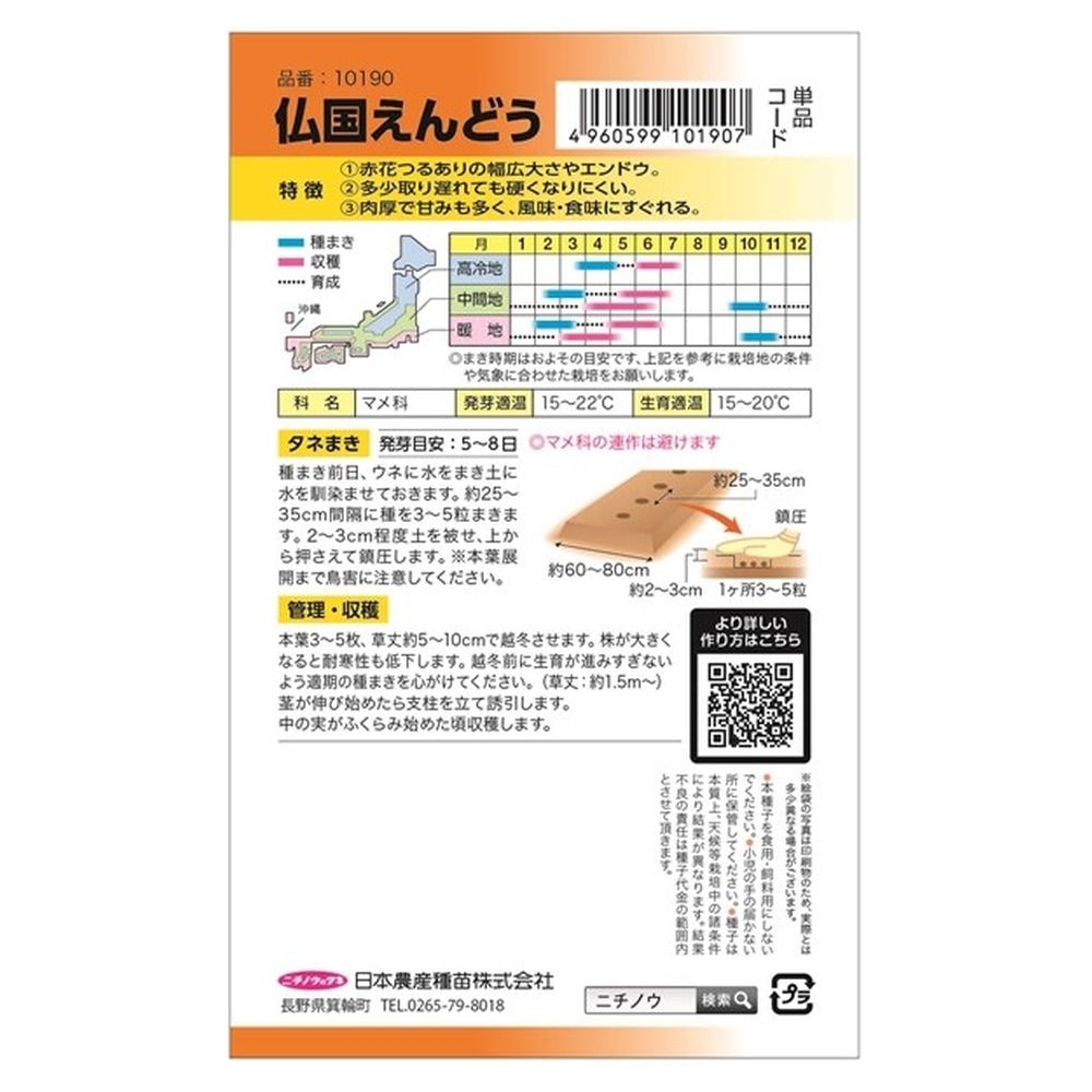 えんどう 仏国えんどう(つるあり･大莢) 2