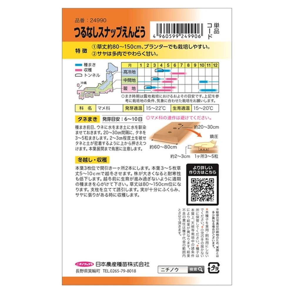 えんどう スナップえんどう(つるなし･白花) 2