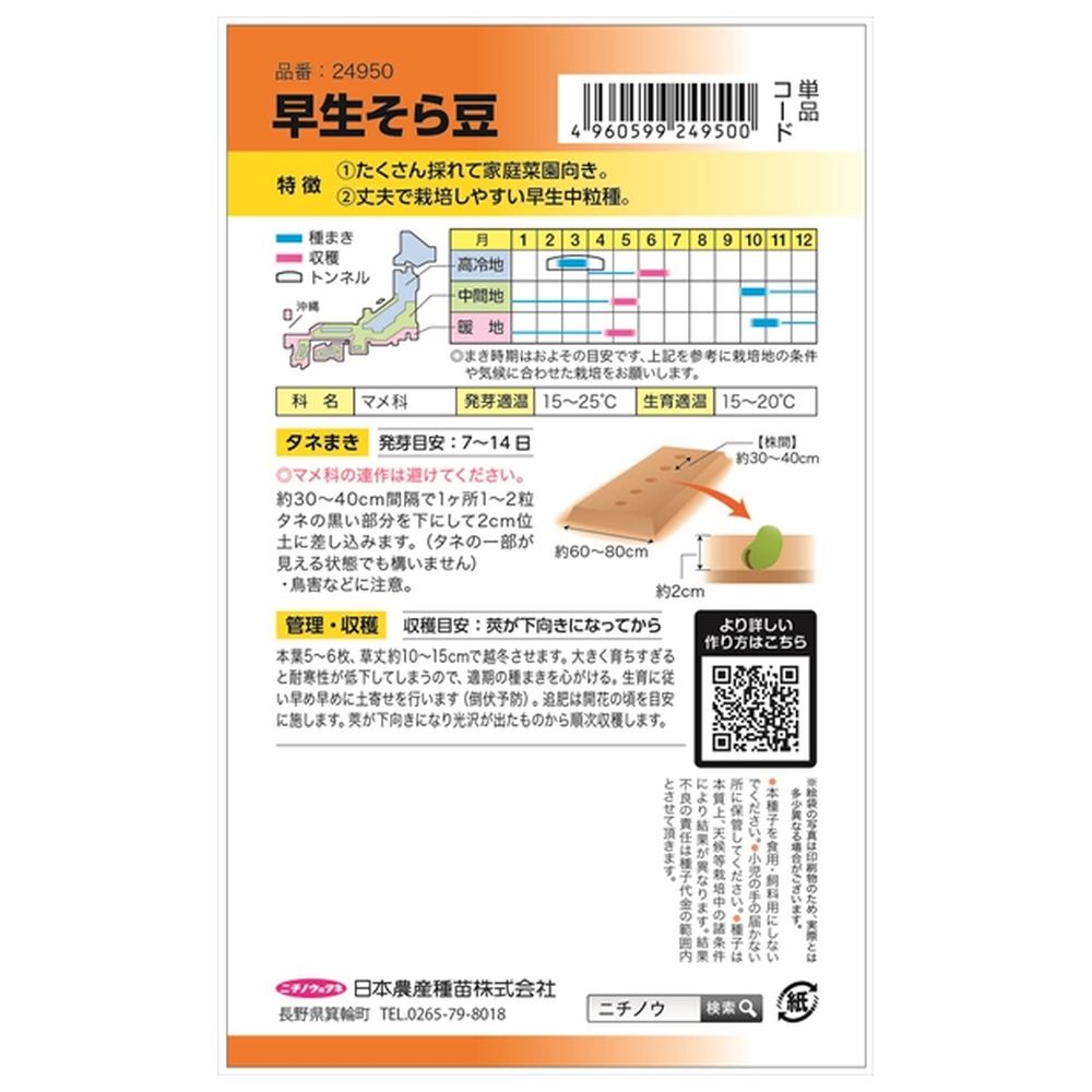 そら豆 早生そら豆 1