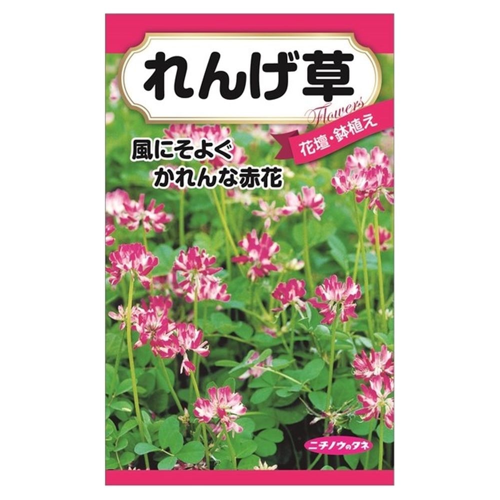 レンゲソウ れんげ草 1