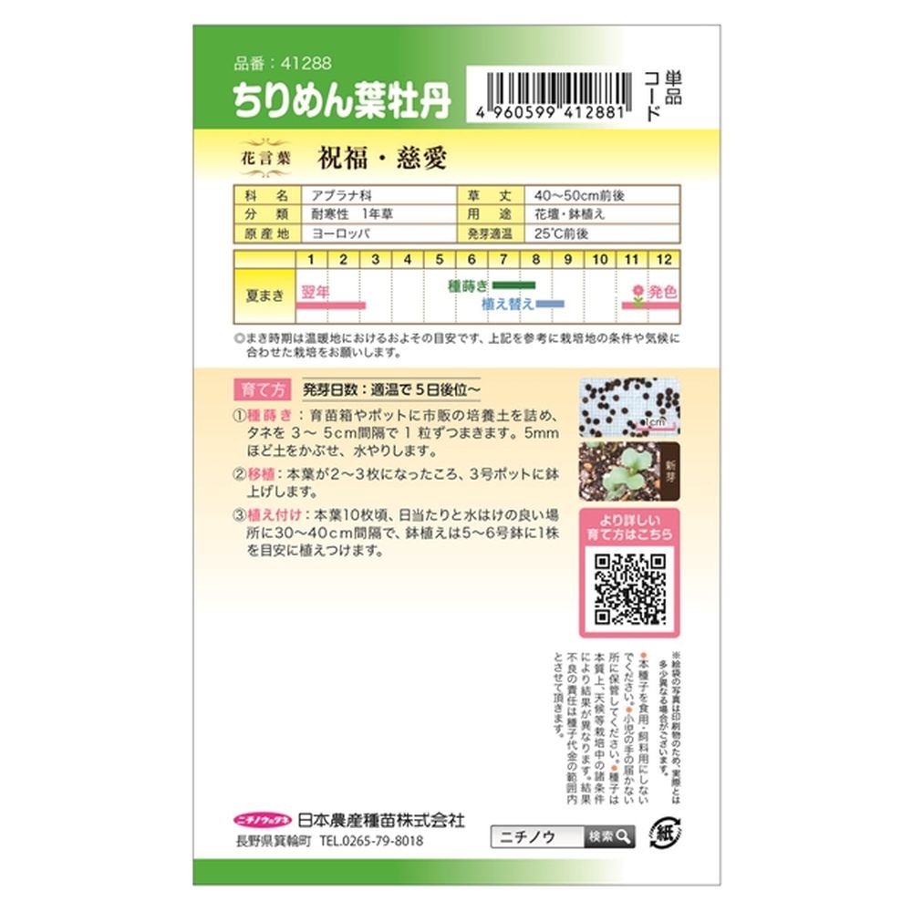 ハボタン ちりめん葉牡丹 2