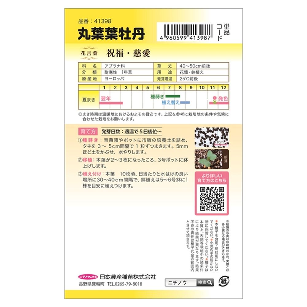 ハボタン 丸葉葉牡丹 2