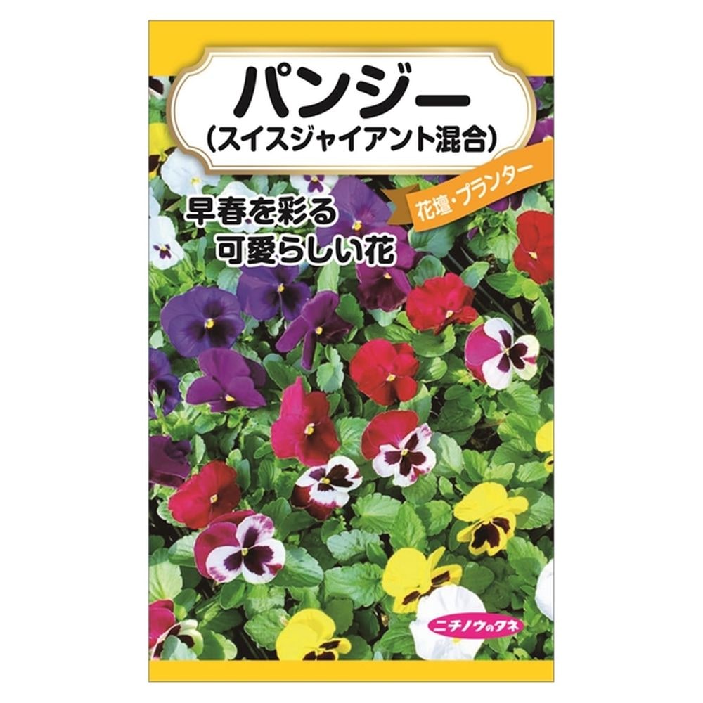 パンジー パンジー(混合) 1