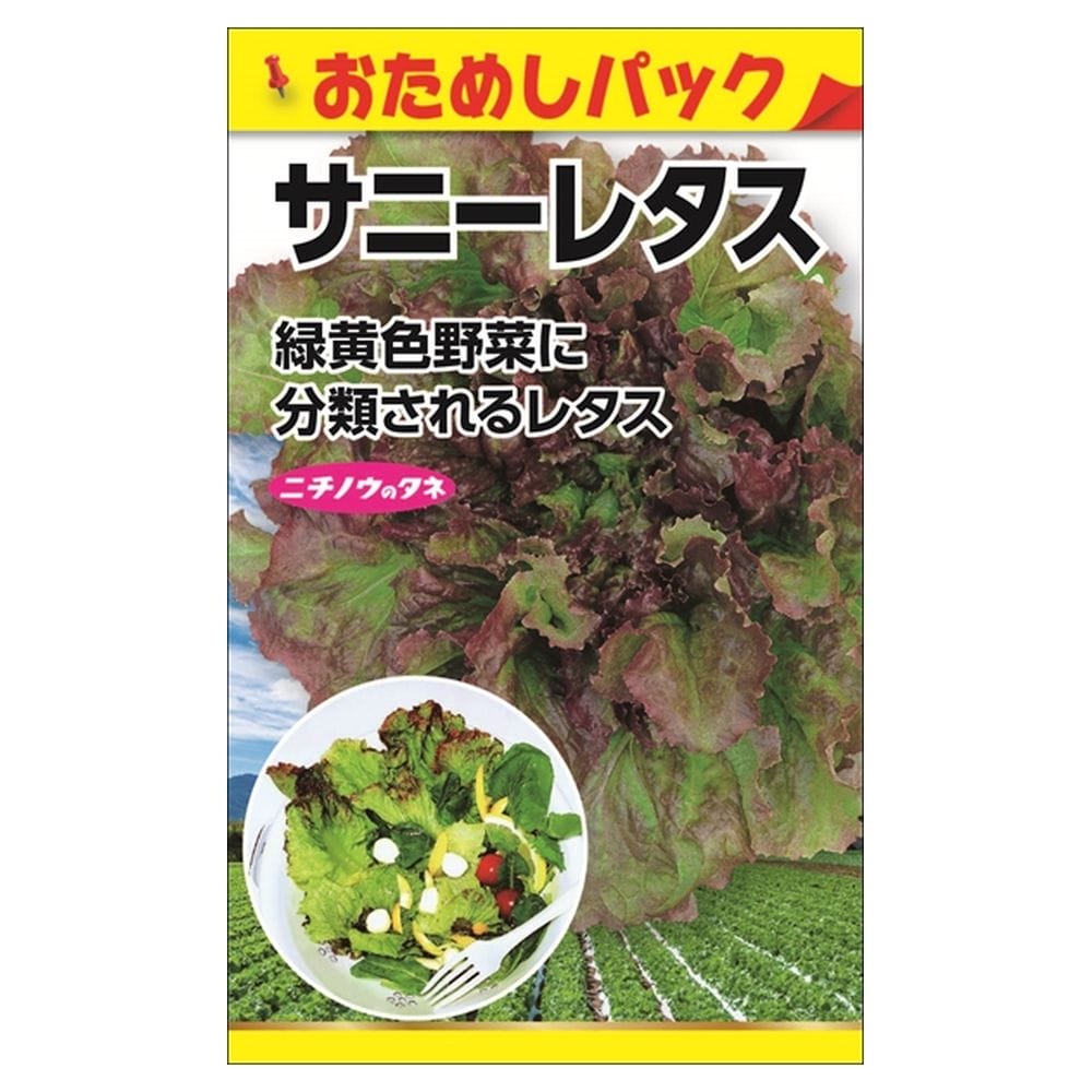 リーフレタス サニーレタス 