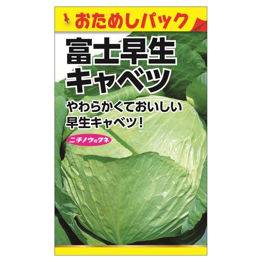 キャベツ 富士早生キャベツ 