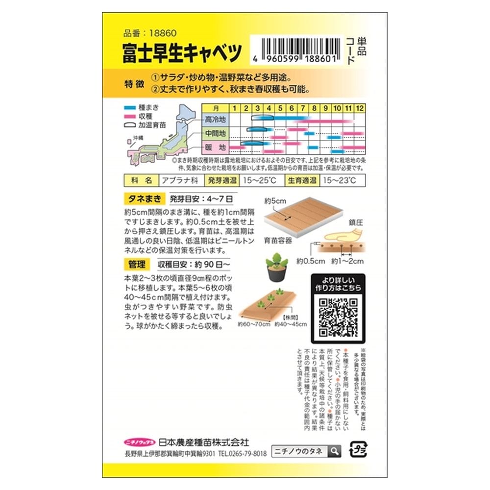 キャベツ 富士早生キャベツ 1