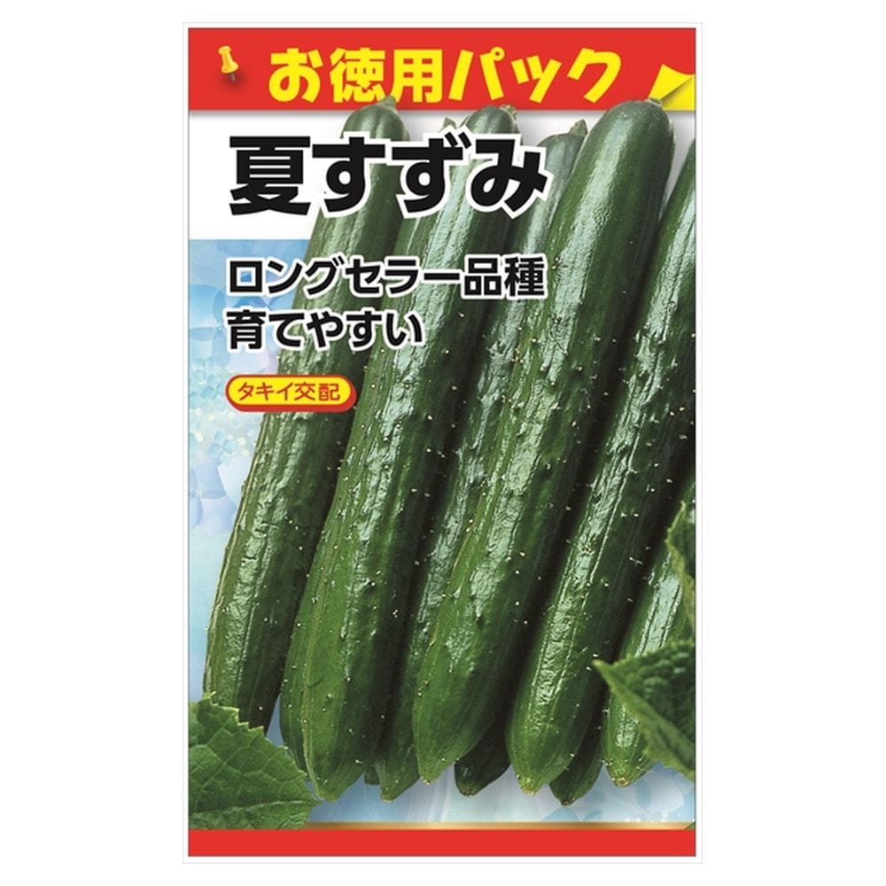 きゅうり 夏すずみ 