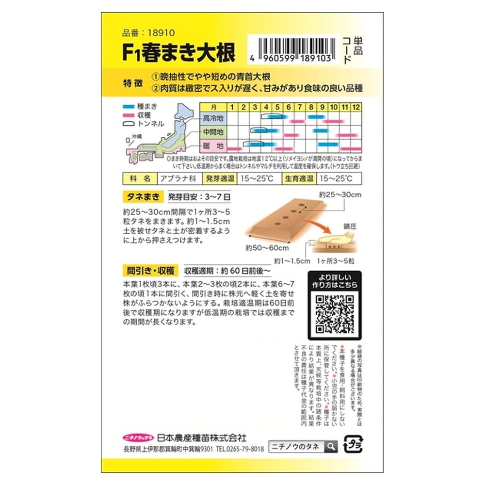 大根 春まき大根(青首･総太形) 1