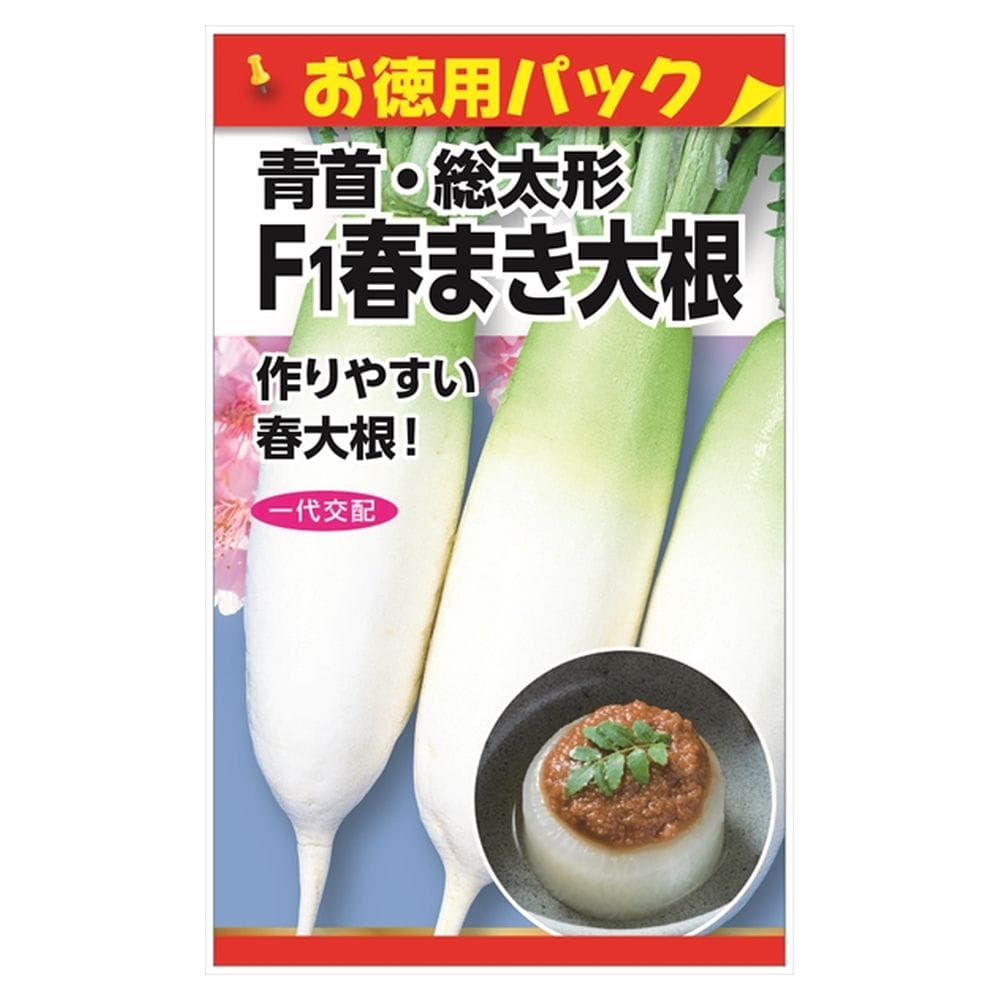 大根 春まき大根(青首･総太形) 